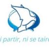 logo CCBF