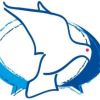 logo CCBF
