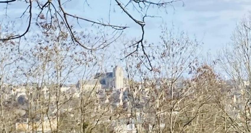 cathedrale