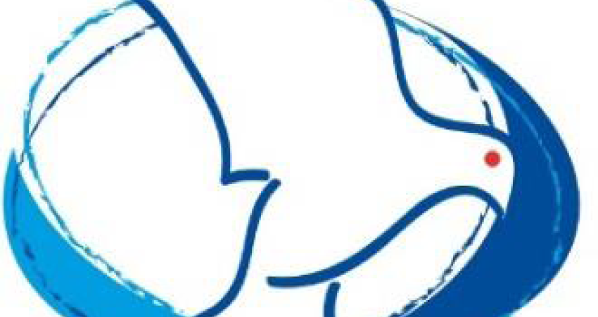 logo CCBF